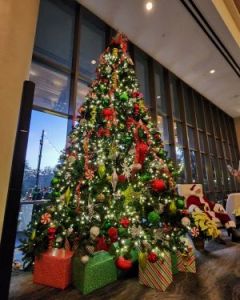 11/30: Sawgrass Marriott Golf Resort and Spa Christmas Tree Lighting