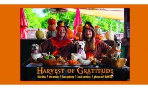 11/23: BrewHound Dog Park and Bar Harvest of Gratitude