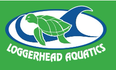 Loggerhead Aquatics - Mandarin