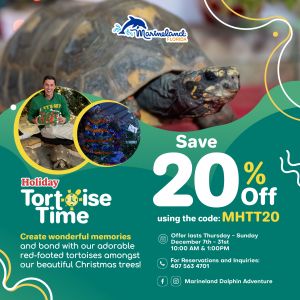 Holiday Tortoise Time at Marineland