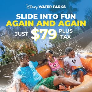 Disney Water Park Seasonal Pass Sale