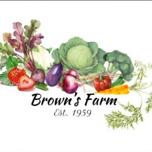 March-April: Brown's Farm-U-Pick Strawberries