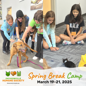 Jacksonville Humane Society Spring Break Camp