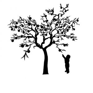 Orange Branch Therapy