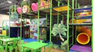 Play Jungle Indoor Adventure