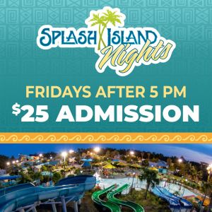 Wild Adventures Splash Island Nights