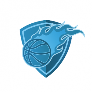 Blue Heat Basketball Academy