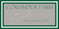 Coriander Farm