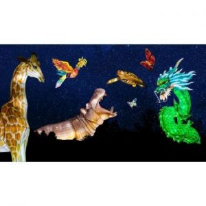 11/22: Jacksonville Zoo and Botanical Gardens Colors of the Wild Holiday Kick-Off