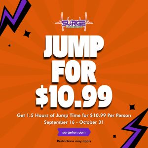Surge Adventure Park Discounted Jump Deal