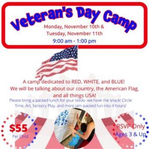 11/10 & 11/11: We Rock the Spectrum Veteran's DAy Camp