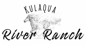 High Springs- Camp Kulaqua River Ranch Water Park