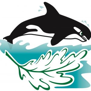 Oakleaf Orcas Swim Team