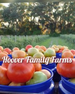 Hoover Family Farms