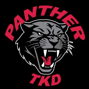 Panther Tae Kwon Do Summer Camp