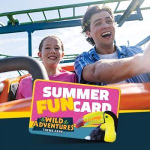 Wild Adventures Summer Fun Card