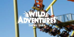 06/21: Wild Adventures Theme Park Donuts for Dad