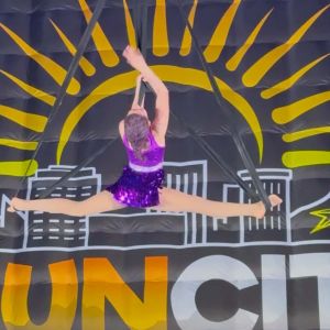 Magnolia Aerial & Wellness