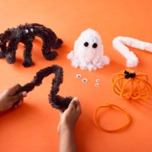 10/24: Michael's Kids Club: Chenille Stem Ghost or Spider