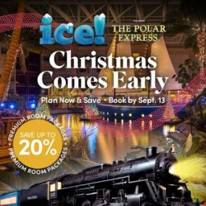 Gaylord Palms Cyber Sale ICE! Packages