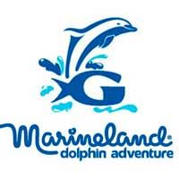 Palm Coast-Marineland Dolphin Adventure